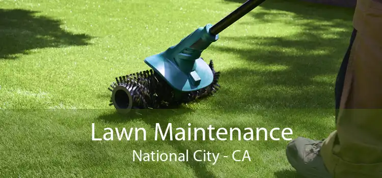 Lawn Maintenance National City - CA