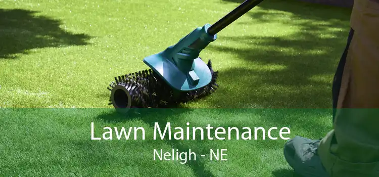 Lawn Maintenance Neligh - NE