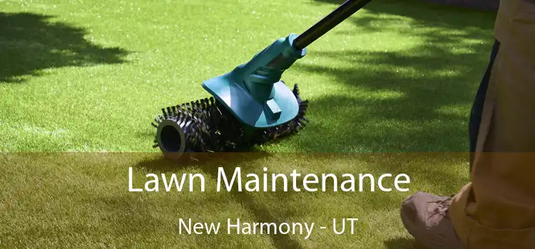  Lawn Maintenance New Harmony - UT