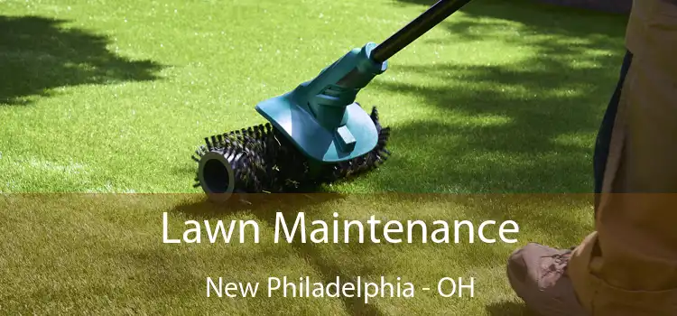  Lawn Maintenance New Philadelphia - OH