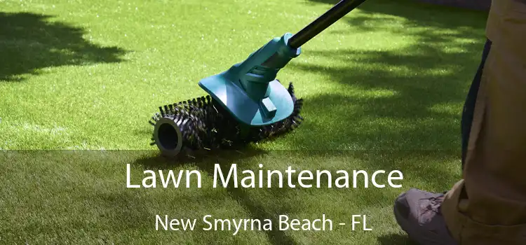 Lawn Maintenance New Smyrna Beach - FL