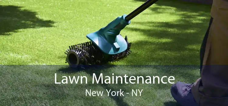 Lawn Maintenance New York - NY