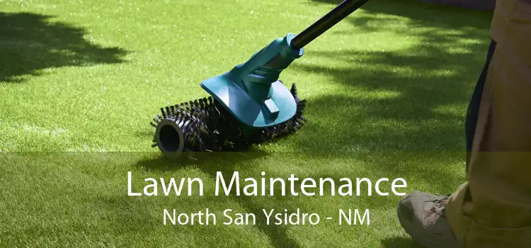 Lawn Maintenance North San Ysidro - NM