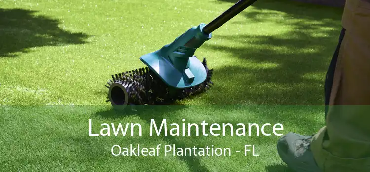 Lawn Maintenance Oakleaf Plantation - FL