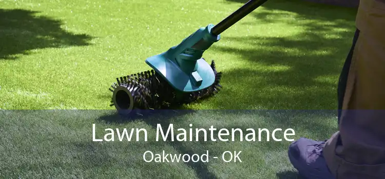 Lawn Maintenance Oakwood - OK