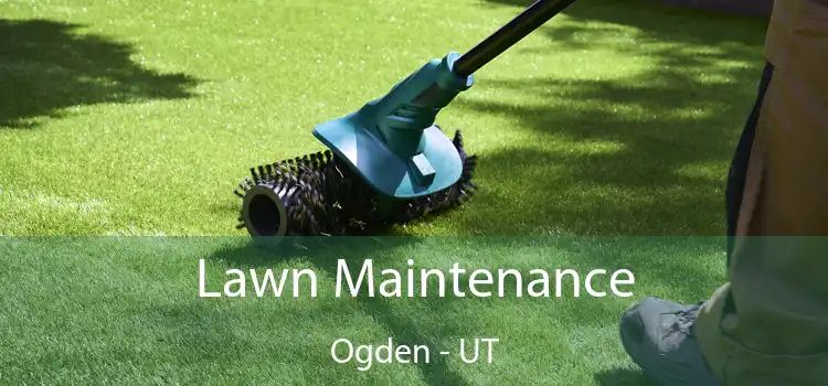 Lawn Maintenance Ogden - UT