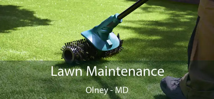  Lawn Maintenance Olney - MD