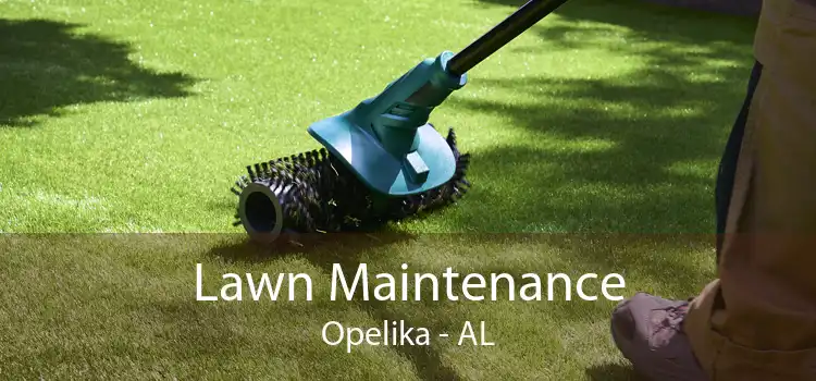 Lawn Maintenance Opelika - AL