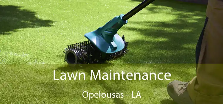  Lawn Maintenance Opelousas - LA