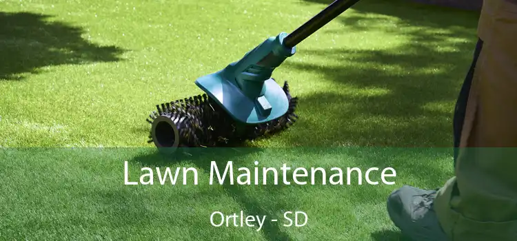  Lawn Maintenance Ortley - SD