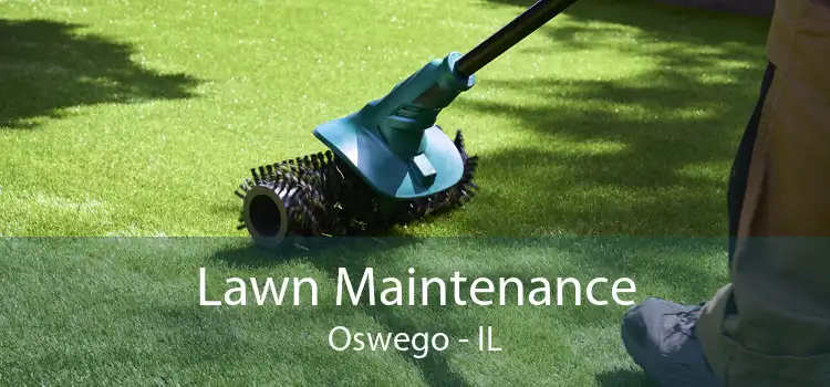 Lawn Maintenance Oswego - IL