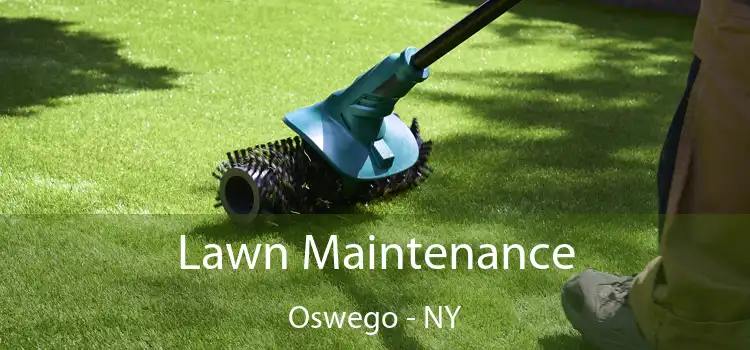 Lawn Maintenance Oswego - NY