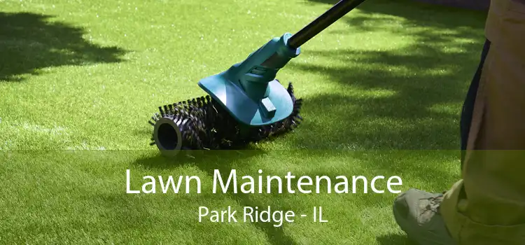 Lawn Maintenance Park Ridge - IL