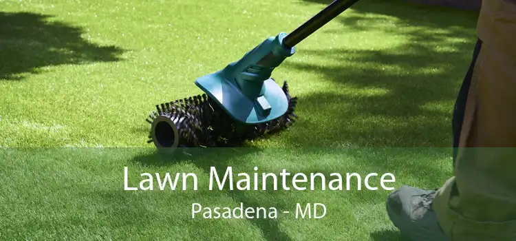 Lawn Maintenance Pasadena - MD