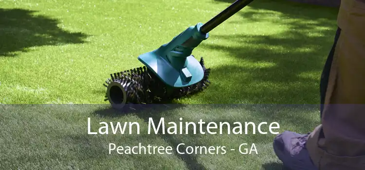 Lawn Maintenance Peachtree Corners - GA