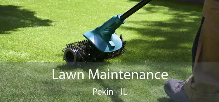 Lawn Maintenance Pekin - IL