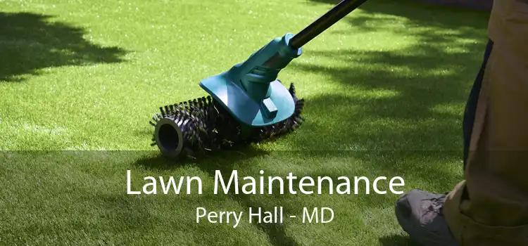 Lawn Maintenance Perry Hall - MD