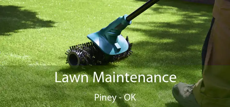  Lawn Maintenance Piney - OK