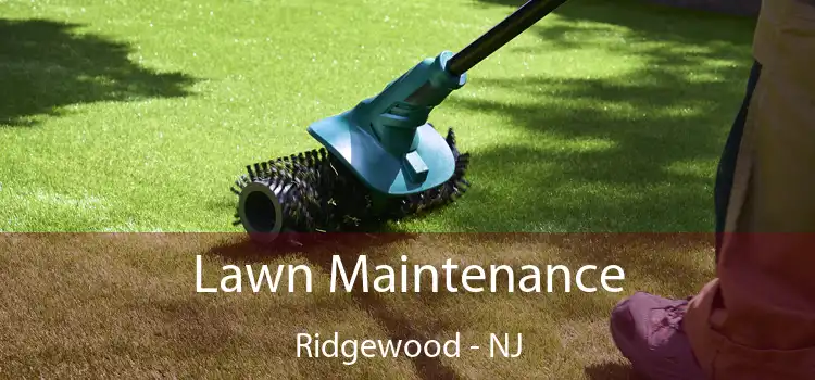  Lawn Maintenance Ridgewood - NJ