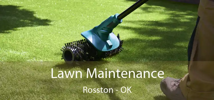 Lawn Maintenance Rosston - OK