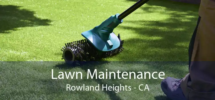 Lawn Maintenance Rowland Heights - CA