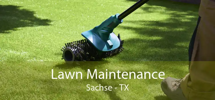 Lawn Maintenance Sachse - TX