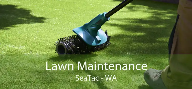 Lawn Maintenance SeaTac - WA