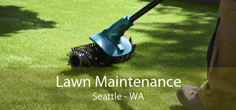 Lawn Maintenance Seattle - WA