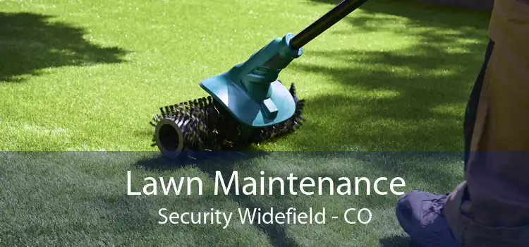 Lawn Maintenance Security Widefield - CO