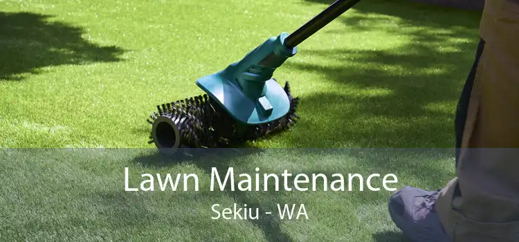 Lawn Maintenance Sekiu - WA