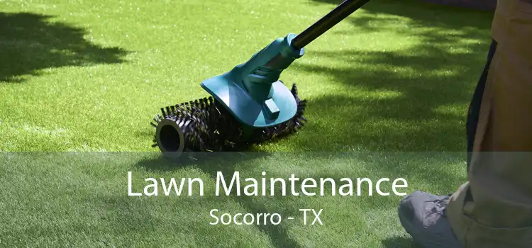 Lawn Maintenance Socorro - TX