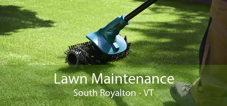 Lawn Maintenance South Royalton - VT