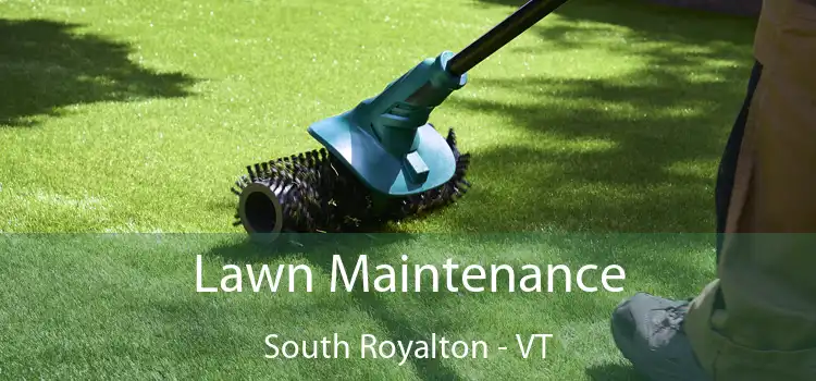 Lawn Maintenance South Royalton - VT