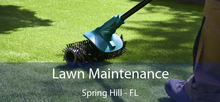 Lawn Maintenance Spring Hill - FL