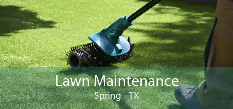 Lawn Maintenance Spring - TX