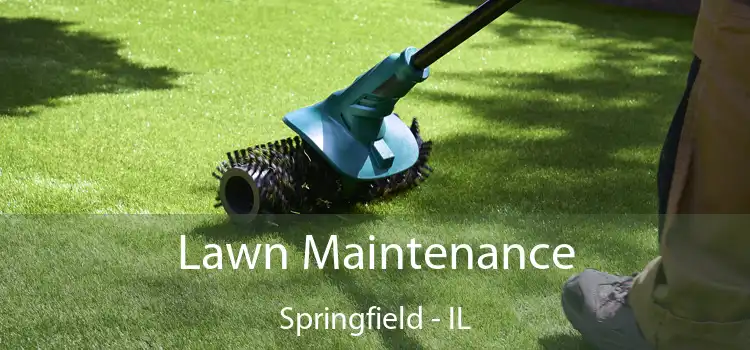 Lawn Maintenance Springfield - IL