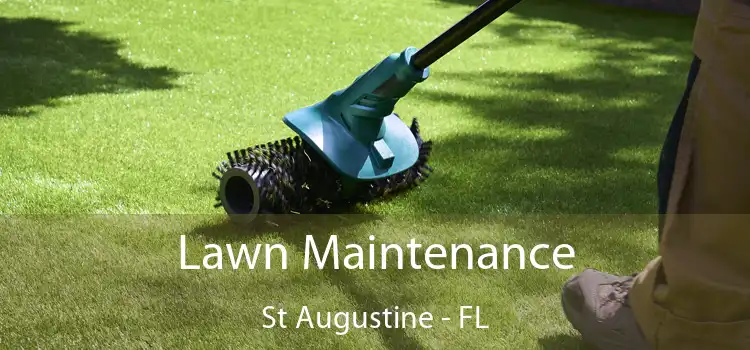 Lawn Maintenance St Augustine - FL