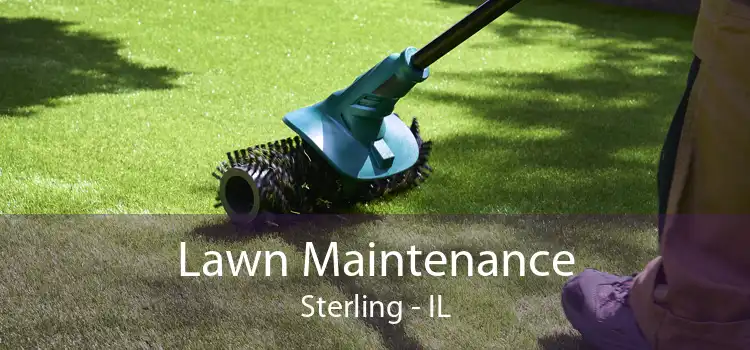 Lawn Maintenance Sterling - IL