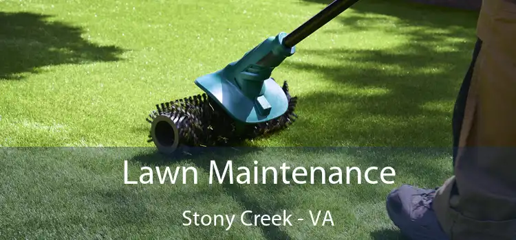 Lawn Maintenance Stony Creek - VA