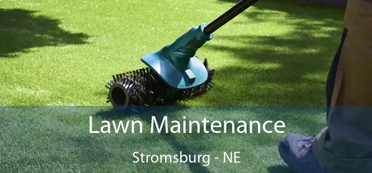Lawn Maintenance Stromsburg - NE
