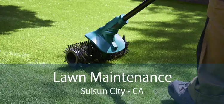 Lawn Maintenance Suisun City - CA