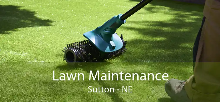 Lawn Maintenance Sutton - NE