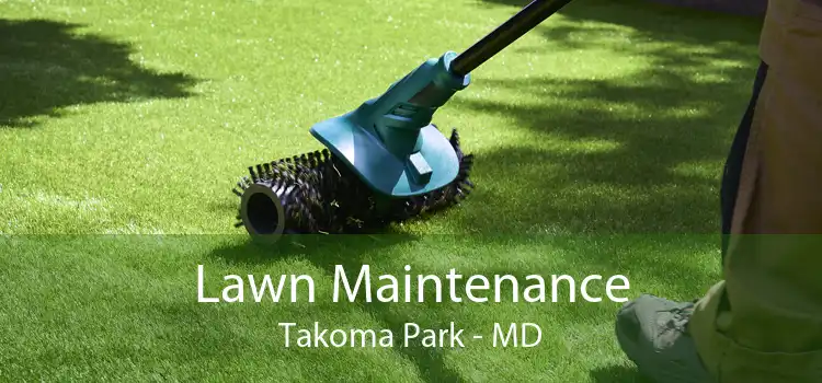 Lawn Maintenance Takoma Park - MD