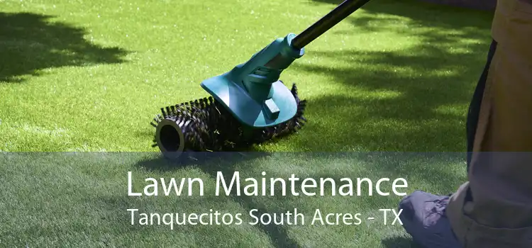Lawn Maintenance Tanquecitos South Acres - TX
