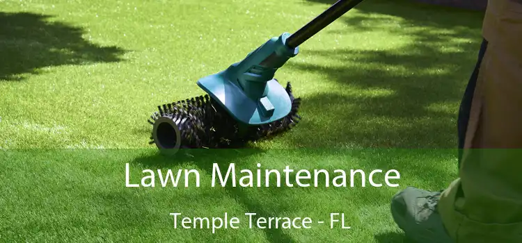 Lawn Maintenance Temple Terrace - FL