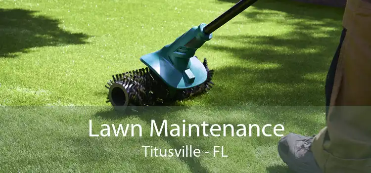 Lawn Maintenance Titusville - FL