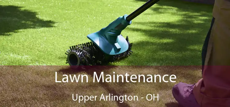 Lawn Maintenance Upper Arlington - OH