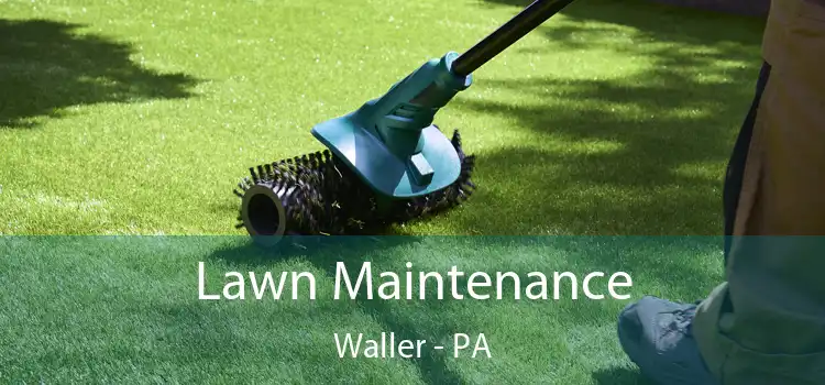  Lawn Maintenance Waller - PA