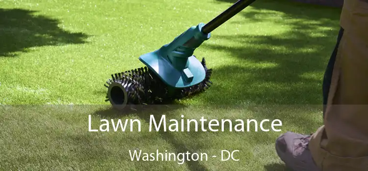 Lawn Maintenance Washington - DC