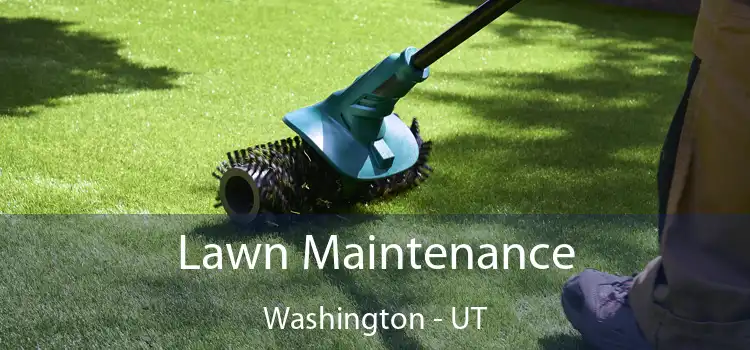 Lawn Maintenance Washington - UT